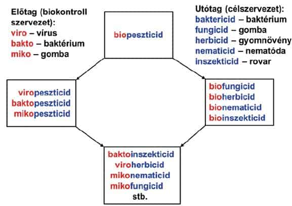 1. ábra | A biopeszticidek nevezéktana