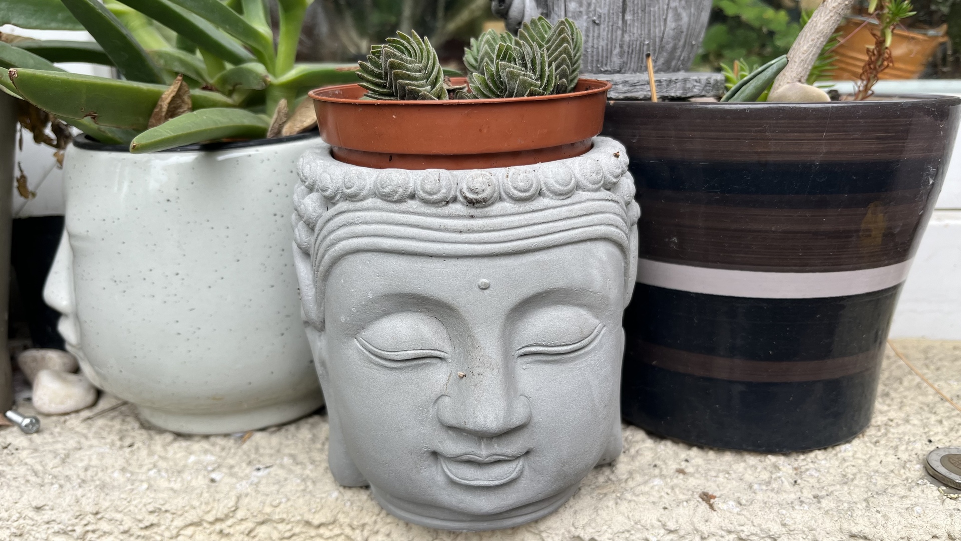 Buddha fej kaspó Szürke Gyönyörű Buddha fej kaspó, mely bármelyik növény ékes dísze lehet és p